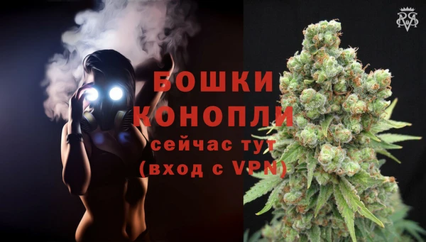тгк Бородино