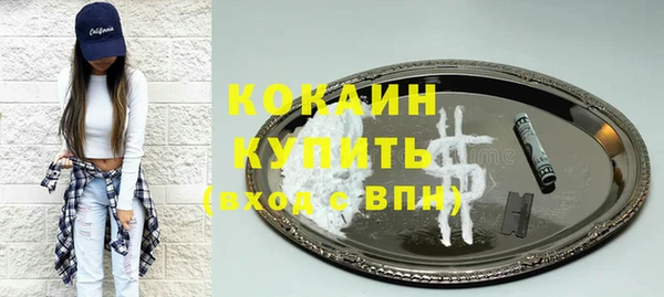 тгк Бородино