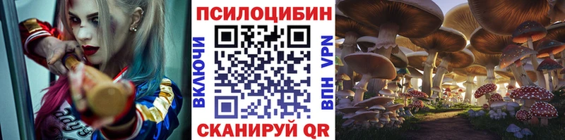 Галлюциногенные грибы мухоморы  Горняк 